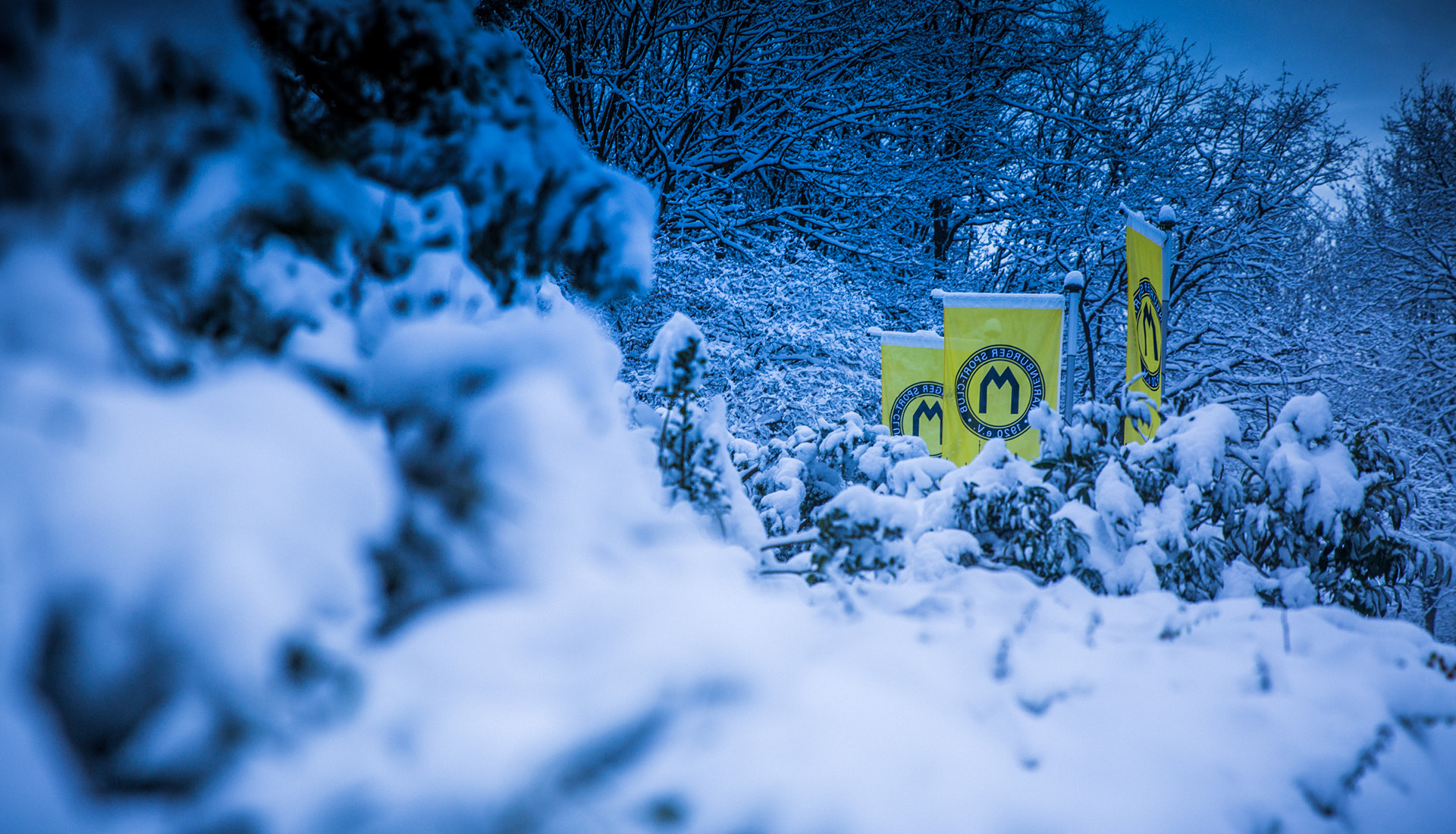 Ronny-Edelstein-Design-FullSizeSlider1920x1100_Marienburger-Sport-Club-MSC-Plattform-4