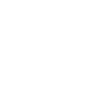 adapt