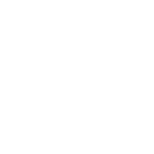 Bayer Leverkusen