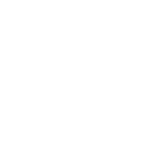 DaimlerChrysler