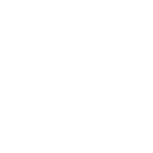 P.S. Optik
