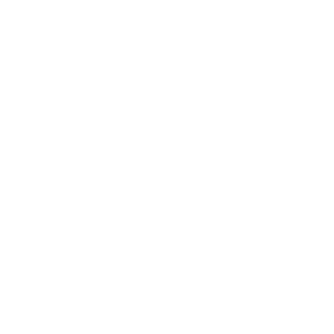 Q-DSL