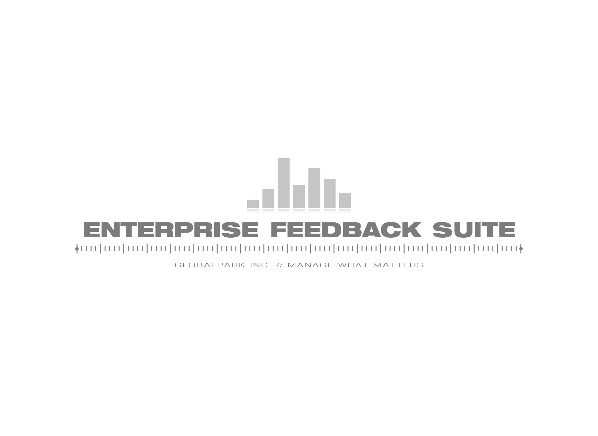 Ronny-Edelstein-Design-Portfolio-GlobalparkAG-Enterprise Feedback Suite Brand System-2
